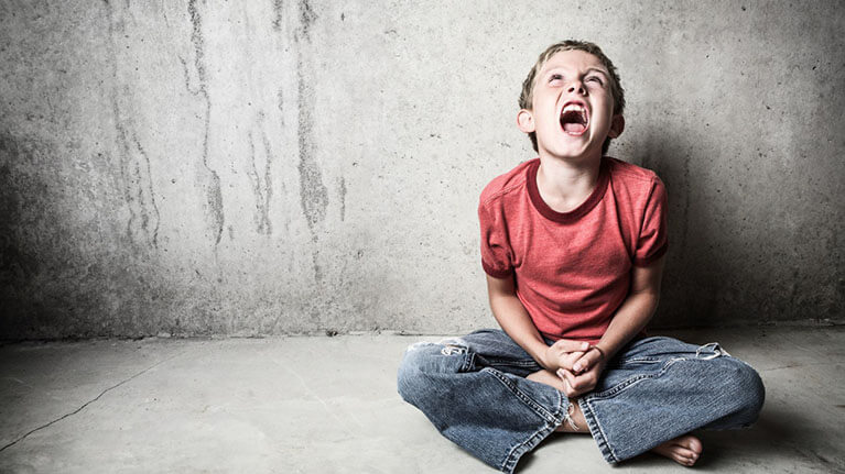 Estudio sobre la conducta agresiva en la infancia